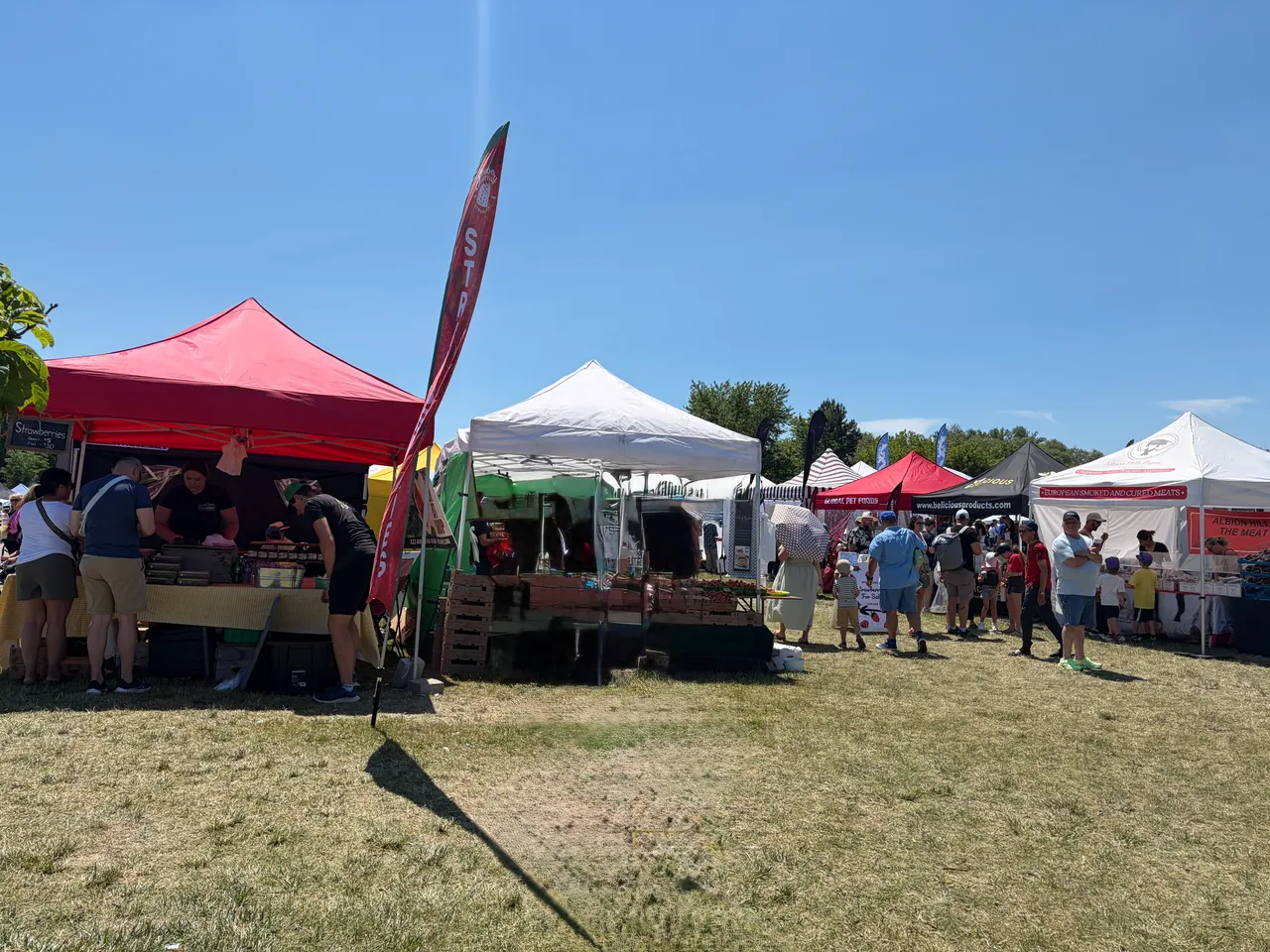 Stouffville strawberry festival